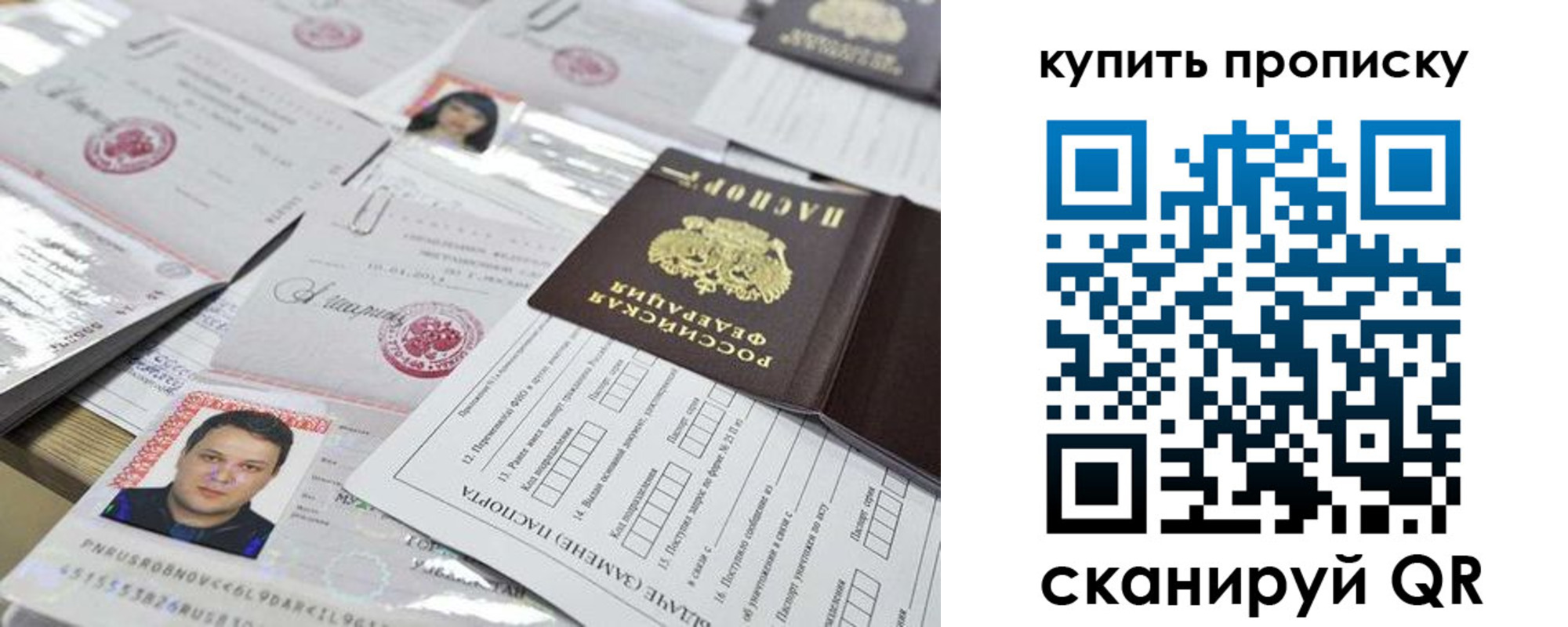 прописка гарантия в Камчатской области